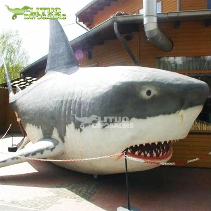 4shark model(001)
