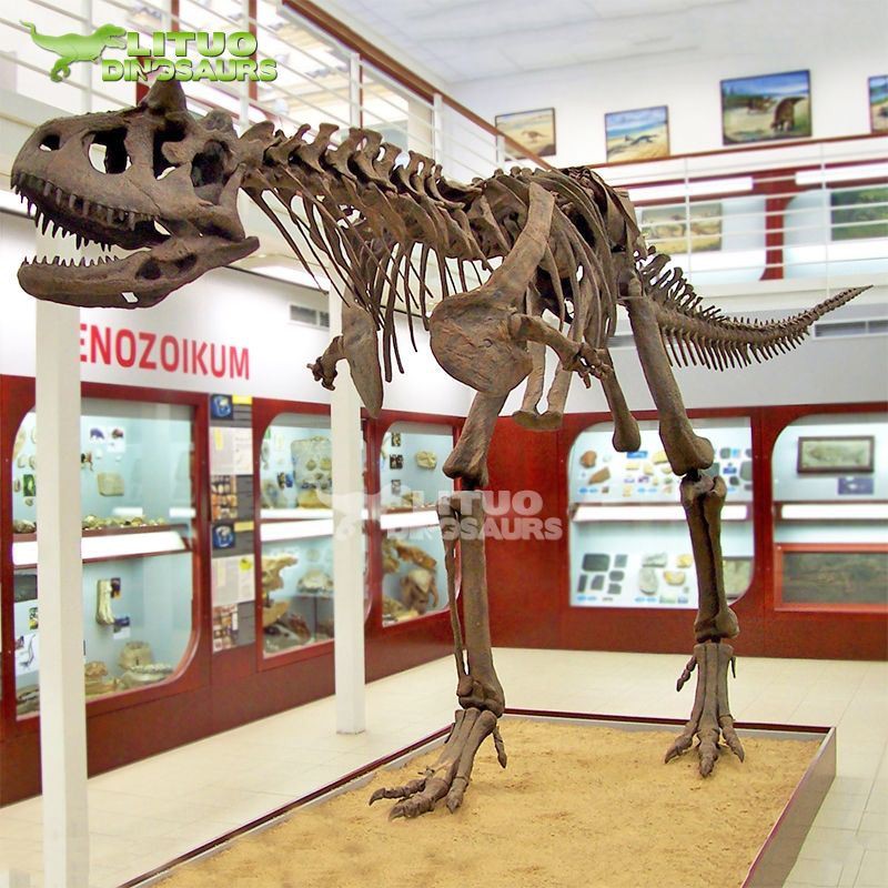 Skeletru tal-Karnotaurus