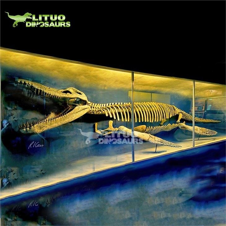 4Ichthyosauria Replica(001)