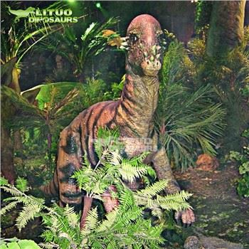 Pachycephalosaurus animatronic