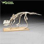Skeletru ta' Psittacosaurus